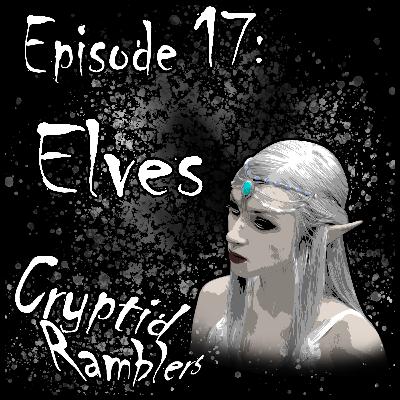 Episode Seventeen - Elves