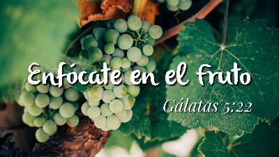 Enfócate en el fruto Enfócate en el fruto