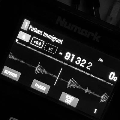 Patient Immigrant (Ethno/Elektro/Downtempo/Folktronika - Tracklist in Description) Patient Immigrant (Ethno/Elektro/Downtempo/Folktronika - Tracklist in Description)