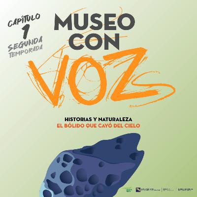 🌠 Meteoritos: "El bólido que cayó del cielo"