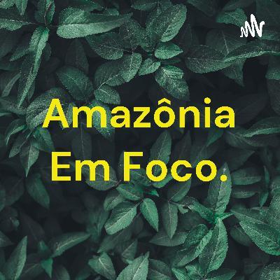 Amazônia em foco