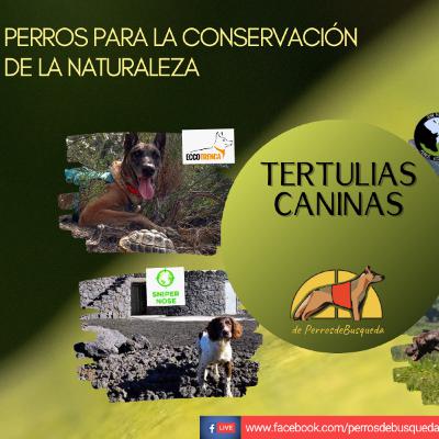 Perros para la conservación de la naturaleza Perros para la conservación de la naturaleza