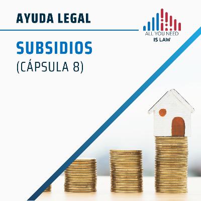 Ayuda Legal - Subsidios
