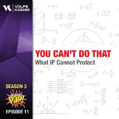 You Can't Do That - What IP Cannot Protect