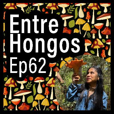 Entre Hongos Ep. 62 - Defensa del patrimonio biocultural de la Mixteca Oaxaqueña (Belén Itahi Bautista) Entre Hongos Ep. 62 - Defensa del patrimonio biocultural de la Mixteca Oaxaqueña (Belén Itahi Bautista)
