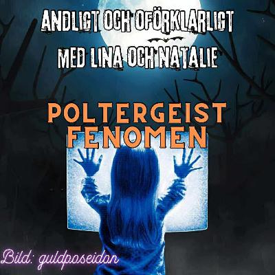 Poltergeistfenomen Poltergeistfenomen