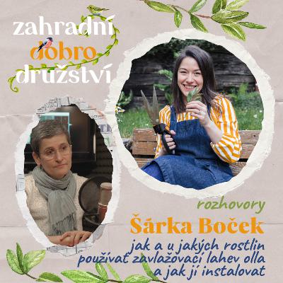 #10 Šárka Boček – jak a u jakých rostlin používat zavlažovací lahev olla a jak jí instalovat