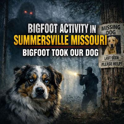 Terrifying Night in Summersville Missouri | Screams in the Woods (Their Dog Never Came Back Terrifying Night in Summersville Missouri | Screams in the Woods (Their Dog Never Came Back