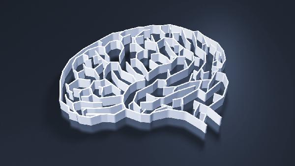 The Unknown Brain The Unknown Brain