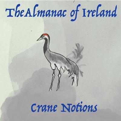 Crane Notions