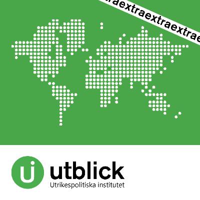 Utblick Extra: Nya bildbevis mot Assad-regimen i Syrien Utblick Extra: Nya bildbevis mot Assad-regimen i Syrien