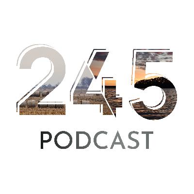 #113 - Reviewing Our 2024 Spotify Wrapped