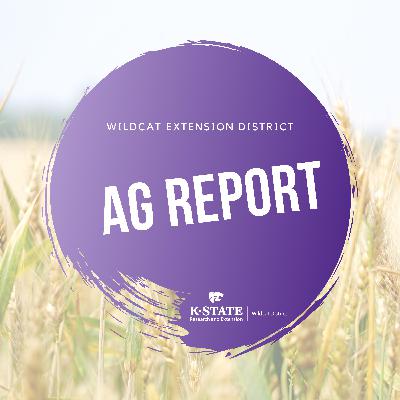 Wildcat District Ag Report for Saturday, February 28, 2026