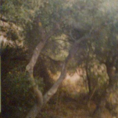 Poetry Readings: Untitled