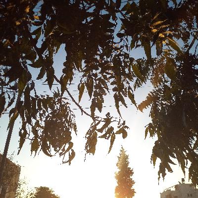 تعليق وثائقي، أعلان، نشرة أخبار