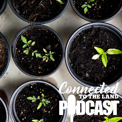 Balcony Gardens: A High Rise Connection