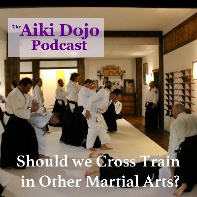 Should we Cross Train in Other Martial Arts?