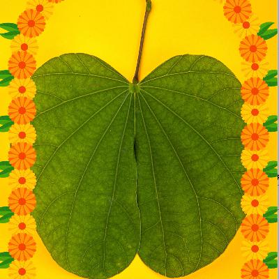 दारी लावून तोरण अंगणी सजावट त्या रांगोळीची | Happy Dasara | Marathi kavita on Dasara
