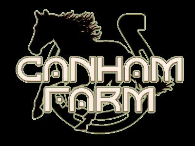 Canham Farm Horse Rescue and Rehabilitation with Julia Hyde and Jackie Foley