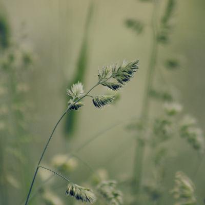 16 – Entre mes deux voix, mon corps balance (Juliette)