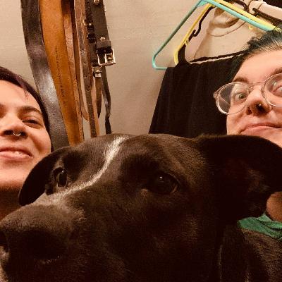 Beginner Spanish: Introductions