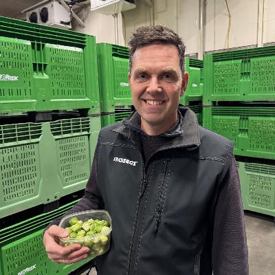 Matskattpodden - Frebergs rosenkål