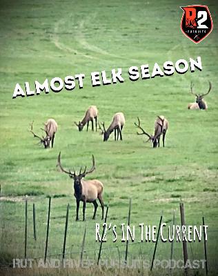Almost Elk Season - R2's In The Current
