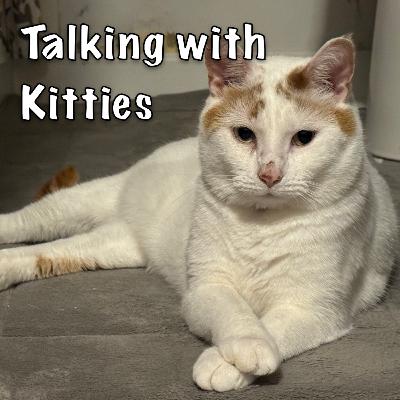 This or Man-Flu This or Man-Flu