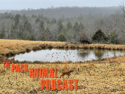 Prairie ecology and forest management
