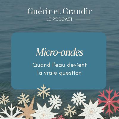 Micro-ondes : quand l’eau devient la vraie question