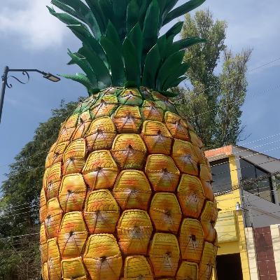 EP. 19 - UN DÍA EN COITA EP. 19 - UN DÍA EN COITA