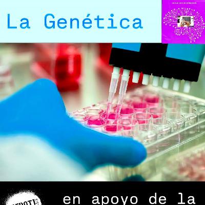 TIC Salud en Conexión, la Genética en apoyo de la Medicina TIC Salud en Conexión, la Genética en apoyo de la Medicina