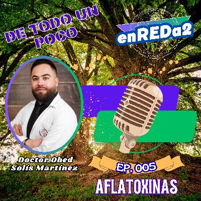 enREDa2_005. Aflatoxinas enREDa2_005. Aflatoxinas