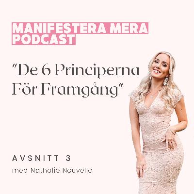 DE 6 PRINCIPERNA FÖR FRAMGÅNG DE 6 PRINCIPERNA FÖR FRAMGÅNG