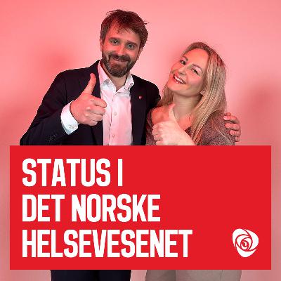 Status i det norske helsevesenet | Jan Christian Vestre, Helene Dahl Karlsen