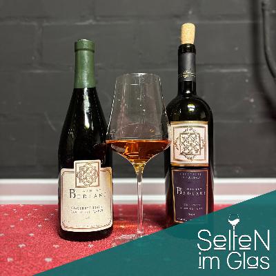 Folge 7: Quevri trifft Stahltank - Weinreise nach Georgien Folge 7: Quevri trifft Stahltank - Weinreise nach Georgien