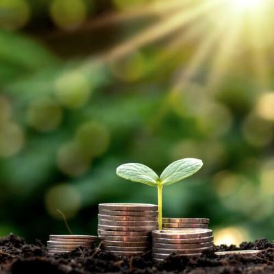 Economia e Negócios: Mercado de empregos verdes está em expansão no Brasil