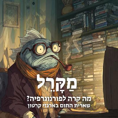 מה קרה לפורנוגרפיה? שארית התום בארגזי קרטון