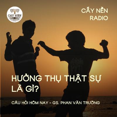Hưởng thụ thật sự là gì? | GS Phan Văn Trường | Cấy Nền Radio | #CauHoiHomNay140