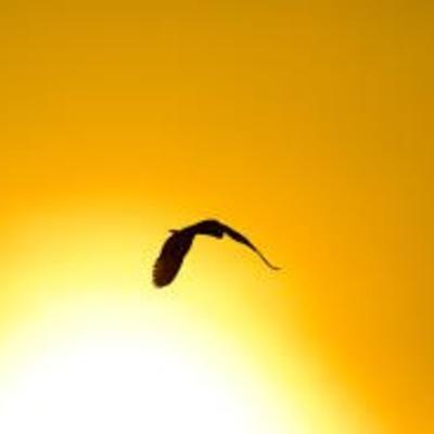 Hành trình gian nan của những cô gái đi tìm mặt trời Hành trình gian nan của những cô gái đi tìm mặt trời