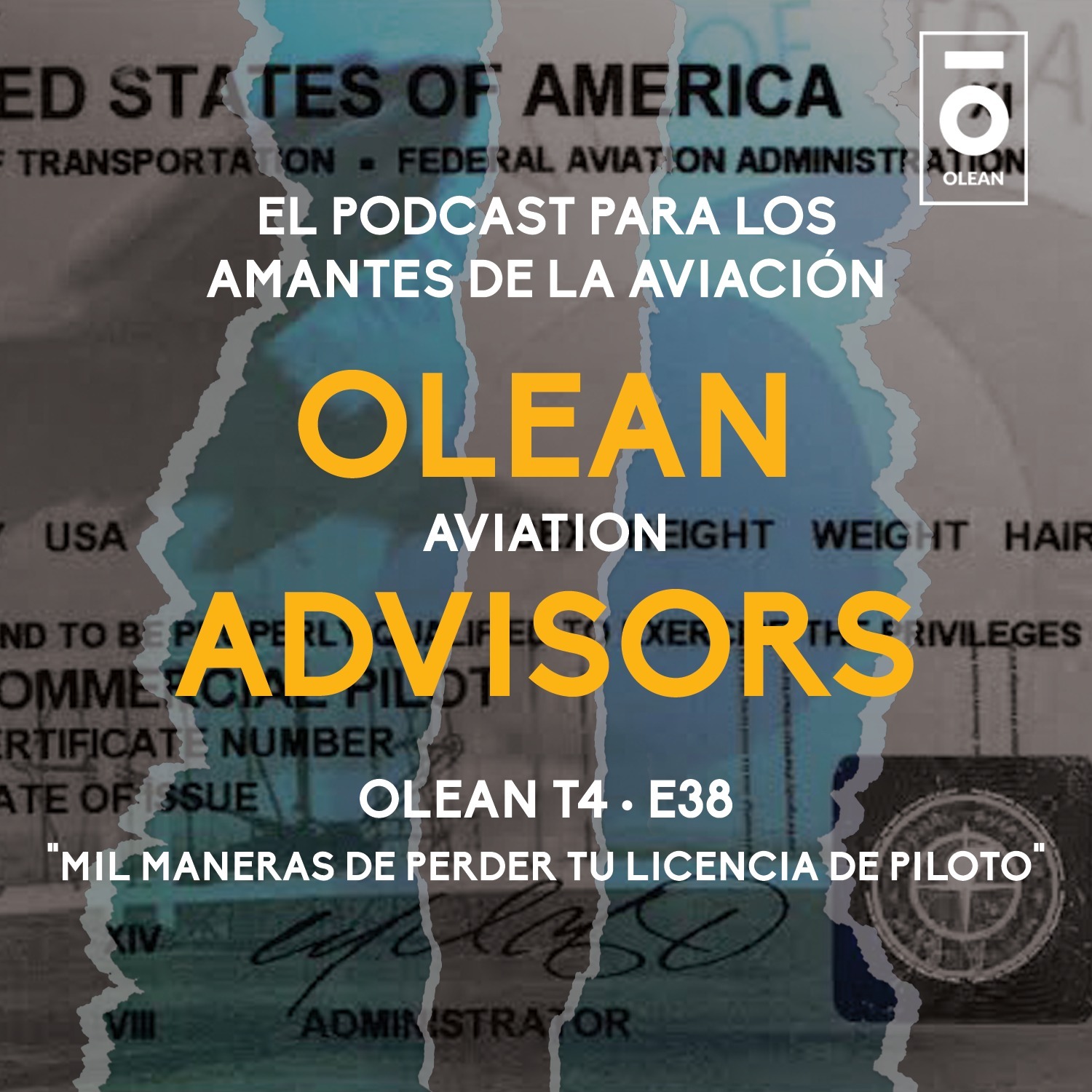 T4 · E38 - Mil maneras de perder tu licencia de piloto episode artwork