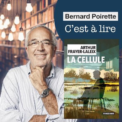 248. "La Cellule" de Arthur Frayer-Laleix 248. "La Cellule" de Arthur Frayer-Laleix