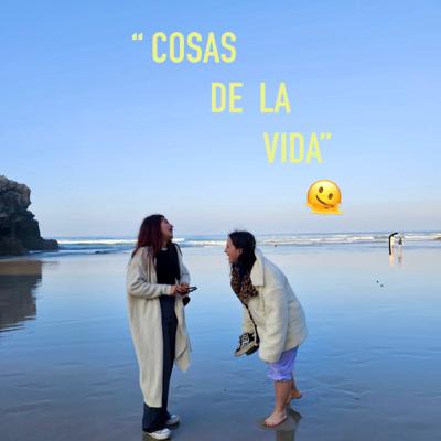 Situaciones y dilemas 🗣️