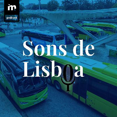 Terminais rodoviários? Ao volante, Sandra e Carlos, motoristas, sabem o que precisam EP13