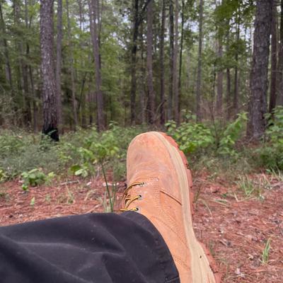Episode 2 - Bigfoot is Everywhere