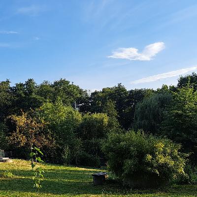 Vzkazy přírody - 2 - Stromy hovoří