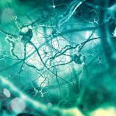 Neurotransmisores y su efecto en la conducta.