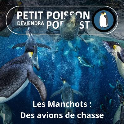 S05E14 Les Manchots : Les avions de chasse des fonds marins (Mathilde Chevallay)