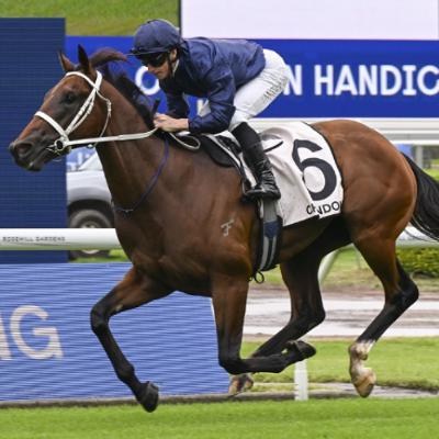 Punter's Preamble - 2025 Caulfield Guineas Day