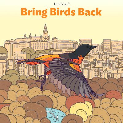 Putting Neotropical Ornithology on the Map